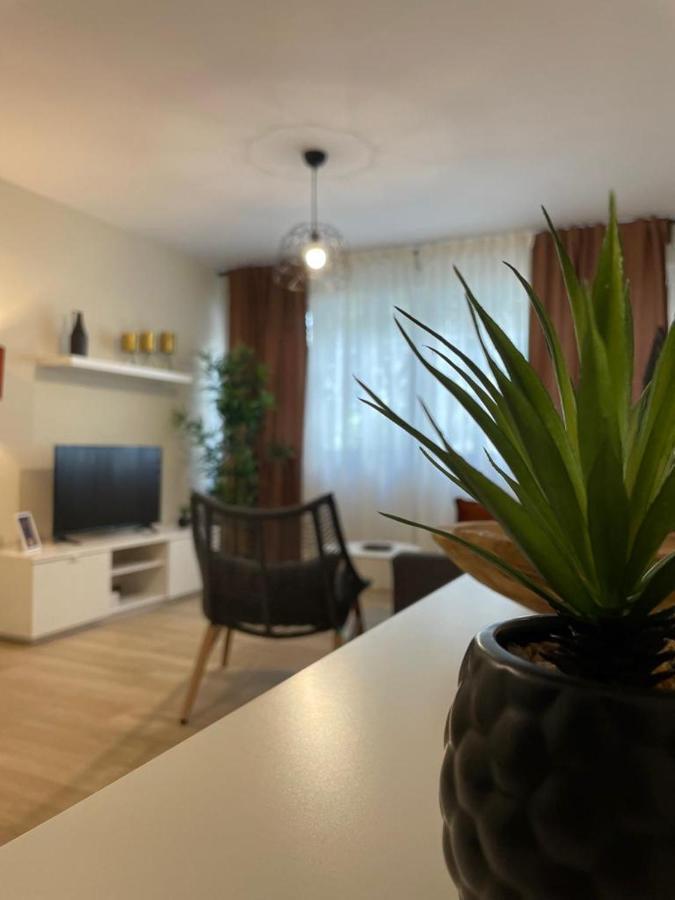 Apartamento Jerez 2022 Jerez de la Frontera Eksteriør billede
